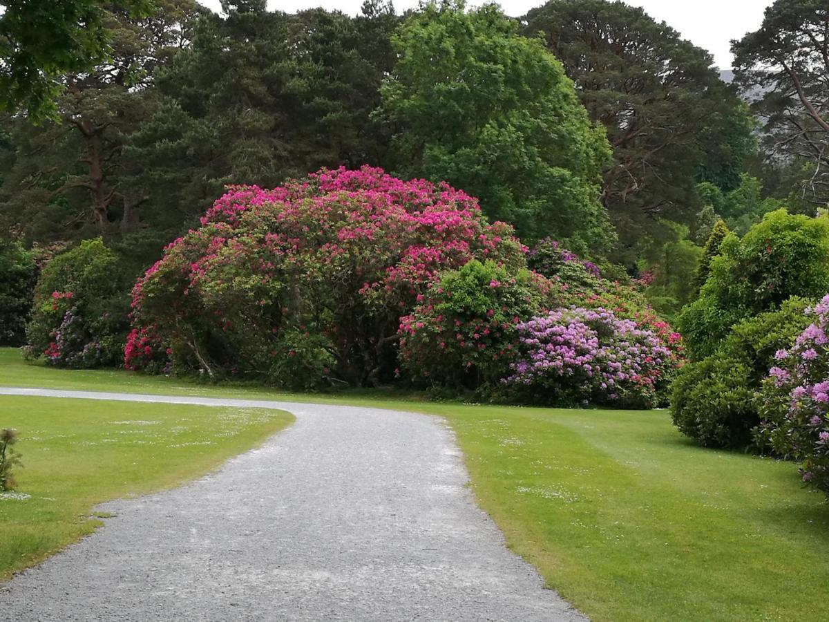 Watersedge Seaviews Hotel Kenmare Buitenkant foto