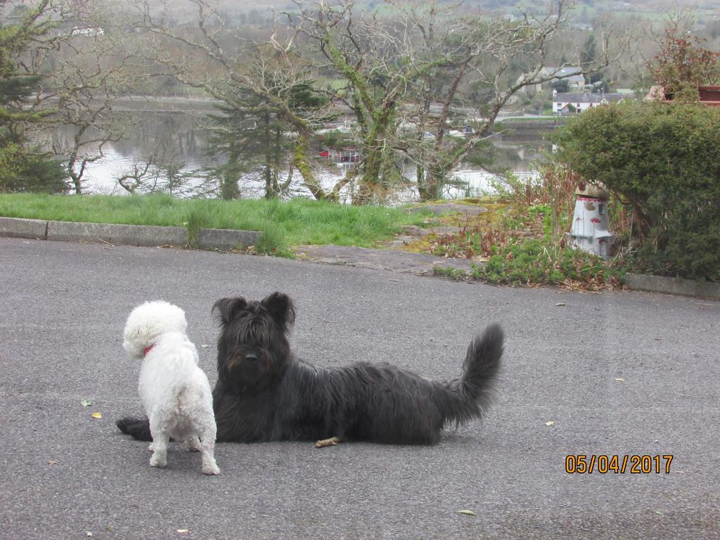 Watersedge Seaviews Hotel Kenmare Buitenkant foto