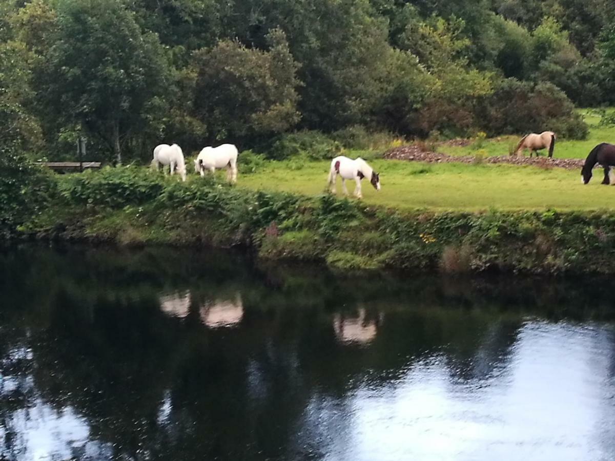 Watersedge Seaviews Hotel Kenmare Buitenkant foto