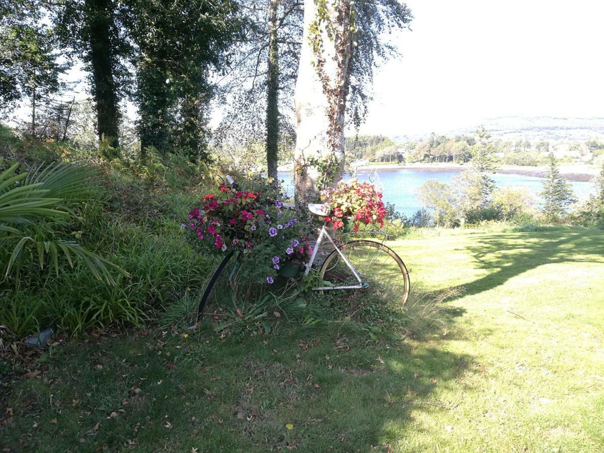 Watersedge Seaviews Hotel Kenmare Buitenkant foto
